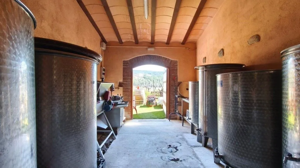 Toad - Boutique Vineyard with Winery in Priorat