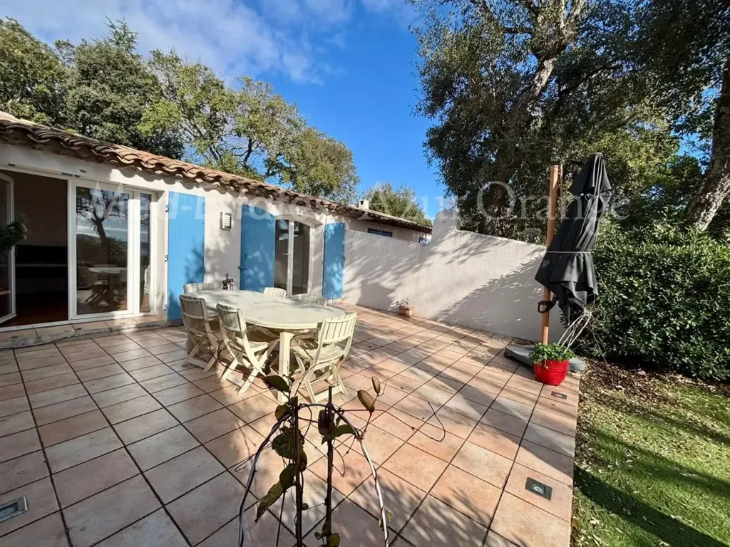 terrace_patio