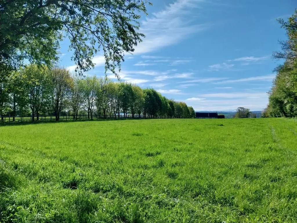 Aed - Stone House with Pool in Normandy Countryside