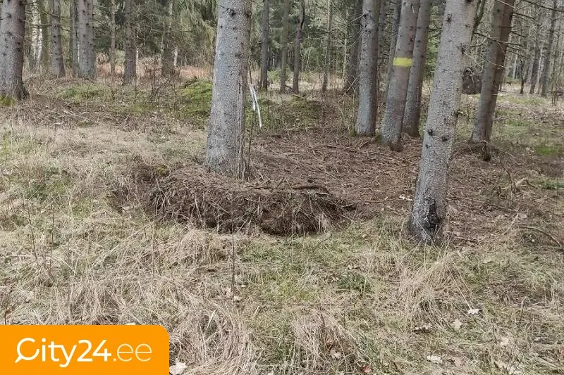 Jardin - Land Plot for Private House in Grobiņa