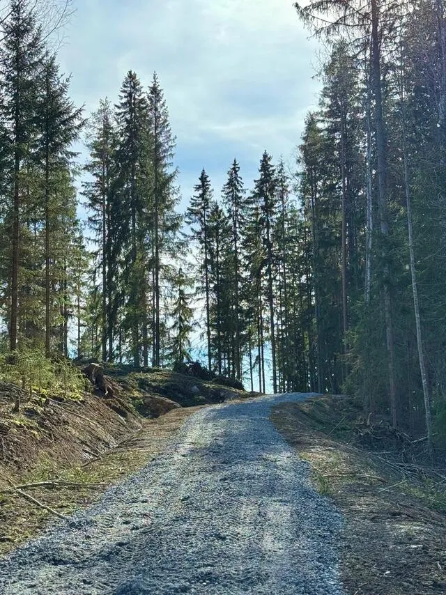 Välivaade - Lakefront Plot with 81m Rive in Päijänne