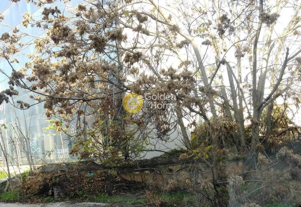 Jardin - Plot for Development with Garden in Marousi - Soro