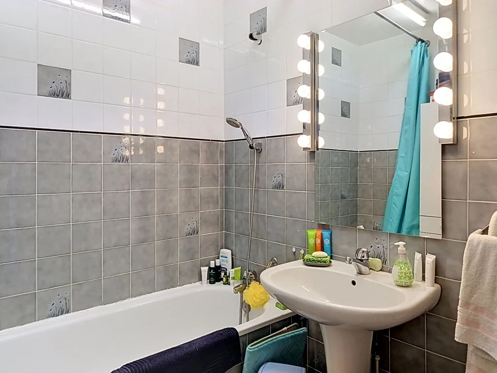 Salles de bain - Appartement 5 pièces avec vue parc à Saint-Étienne