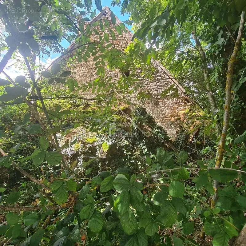 Exterior - Rural Property with Panoramic Views in Gipcy