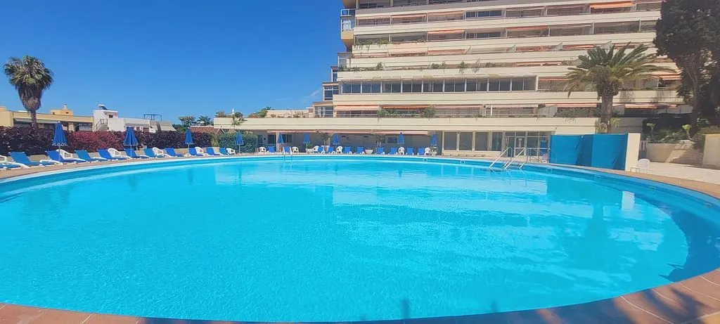 Pool - Studio with Terrace and Pool in Puerto de la Cruz