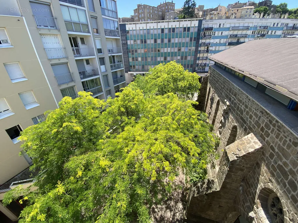 Garden - Atypical Flat with Terraces in Annonay Centre