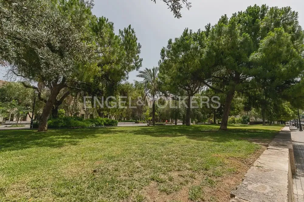 Spacious Flat with High Ceilings in El Botànic