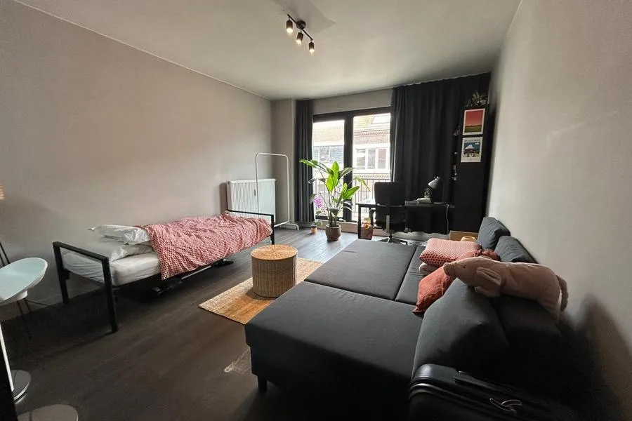 Magamistoad - 1-Bedroom Apartment in Leuven