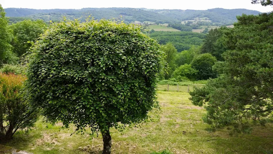 Garden - Renovated Longère with South View near Brive