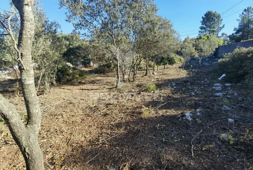 Aed - Urban Plot with Field View in Minde / Alcanena