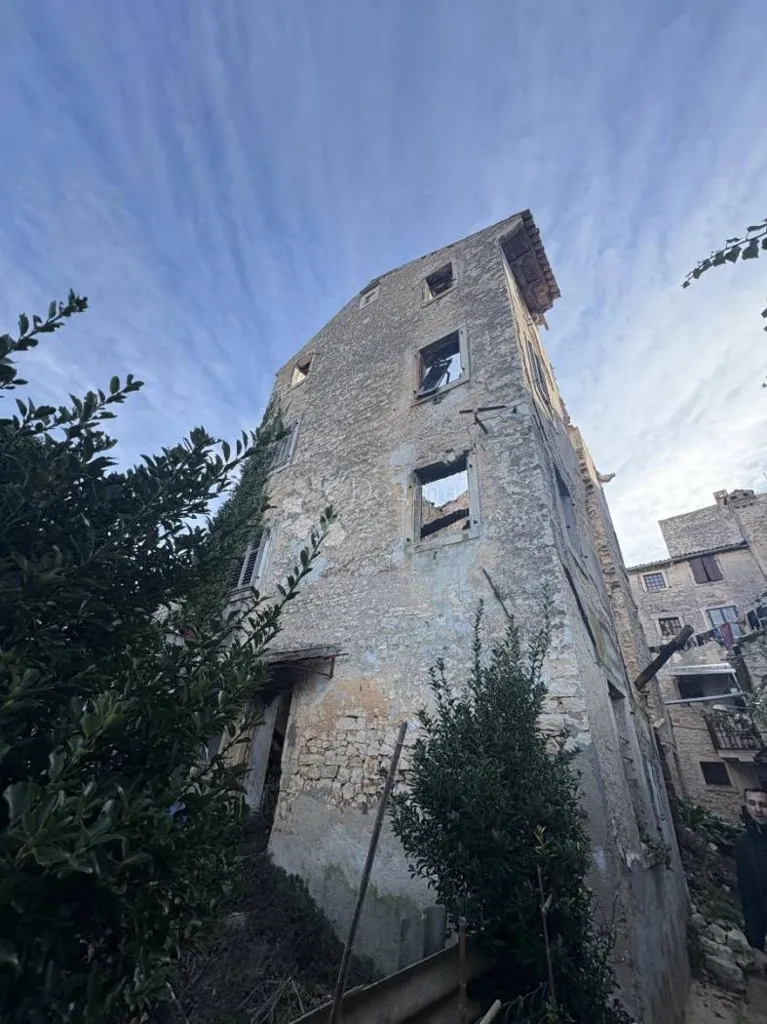 Exterior - Ruined House with Large Garden in Vodnjan