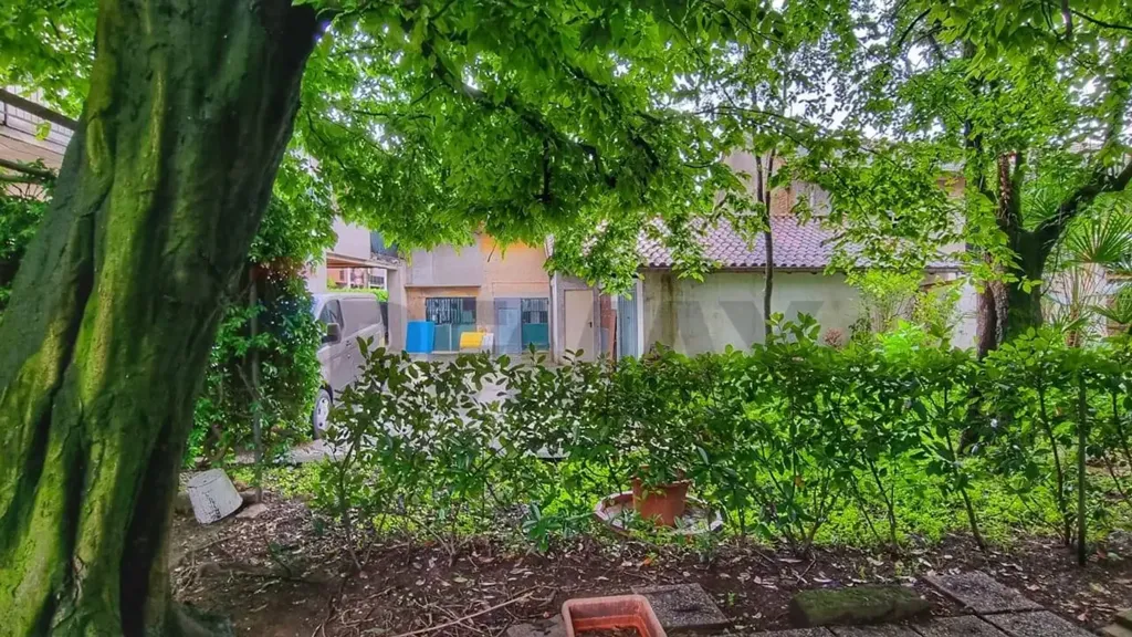 Garden - Developable Plot with Private Garden in Camparada