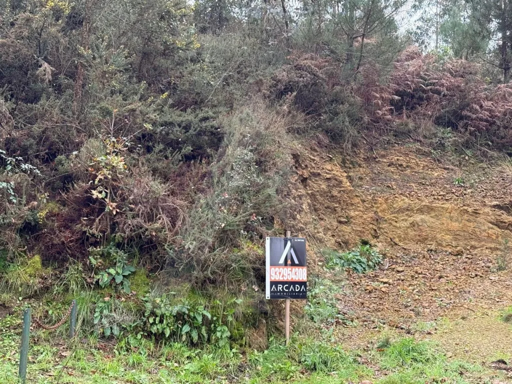 Jardin - Plot with Garden View in Nogueira do Cravo
