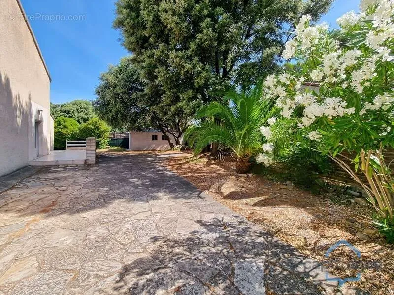 Esterno - Villa with Pool-Ready Garden near Castries