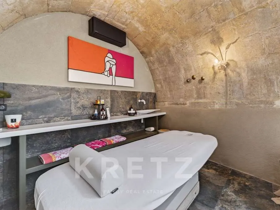 Toad - 18th Century House with Pool in Paradou