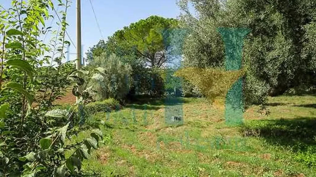 Jardin - Sicilian Casale with Orchard near Noto