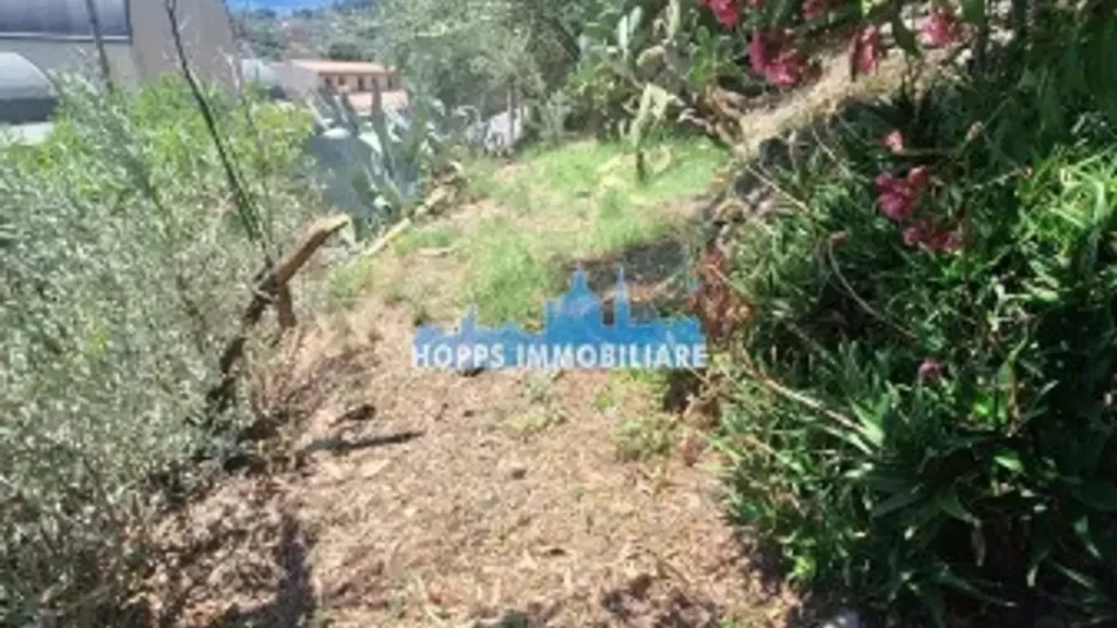 Giardino - Rustic Villa for Renovation in Monreale