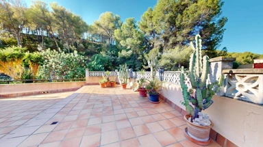 Terrasse - Luxury Flat with Terrace in Peguera, Calvià