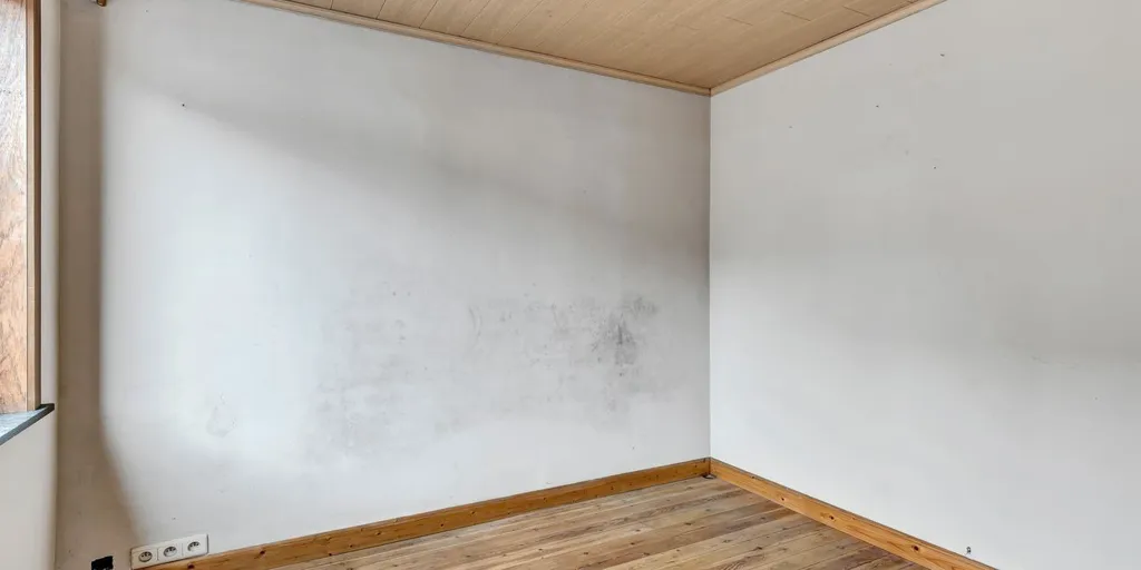 Pièces - Maison à Renover avec Atelier à Deinze