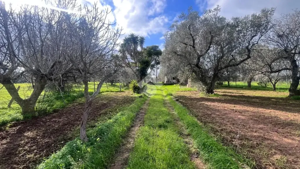 Garden - Rustic Villa with Garden in Mesagne