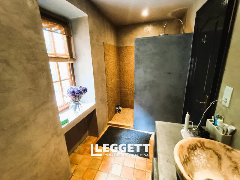 Vannitoad - Characterful Farmhouse with 16 Hectares in Ariège