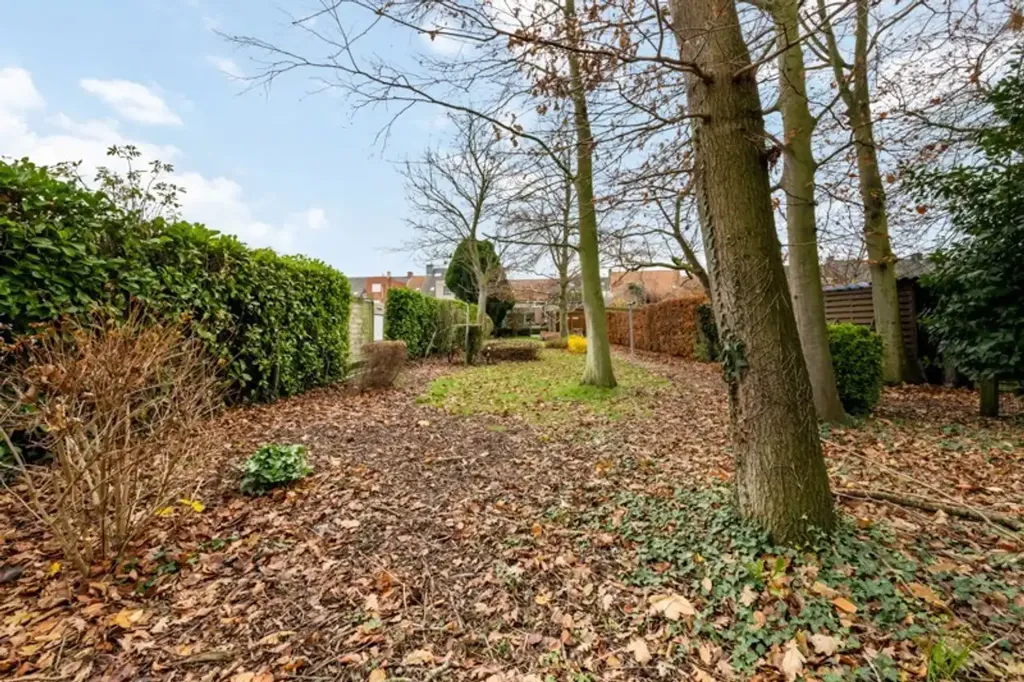 garden