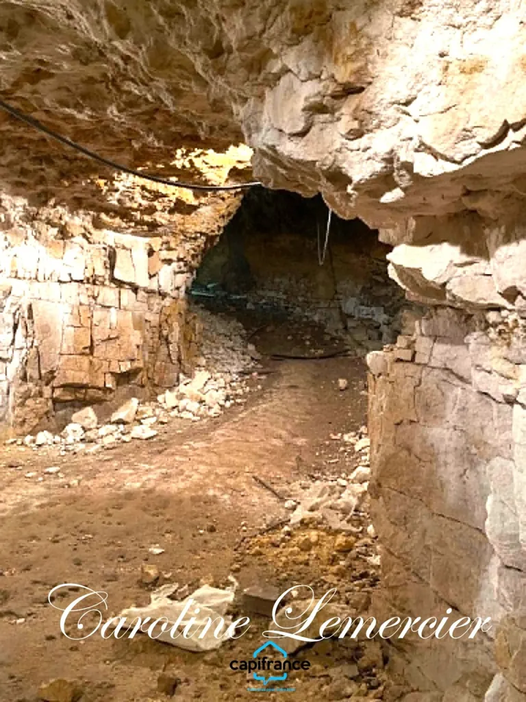Rooms - Farmhouse with Caves near Connerre