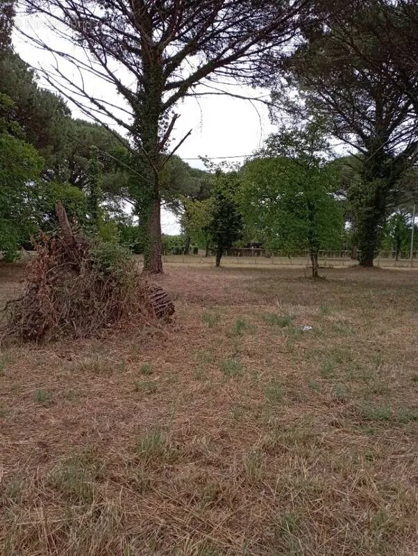 Jardin - Terrain à Construire avec Vue Jardin à Langon