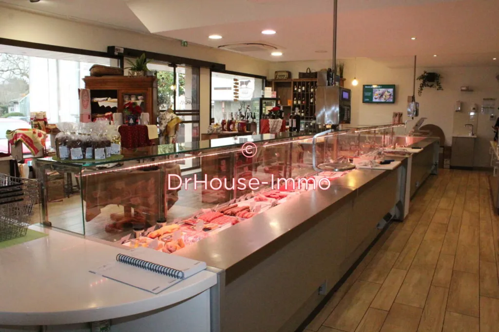 Toad - Boutique Shop with Parking in Chabanais