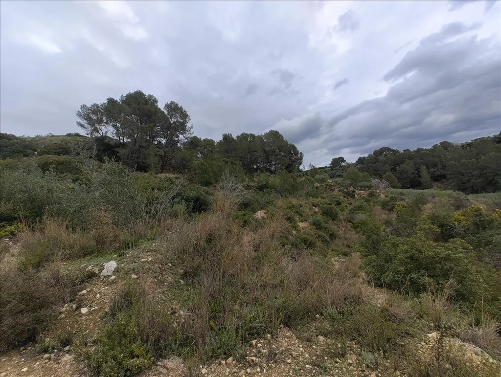Jardin - Rustic Land with Vineyard in La Llosa de Ranes
