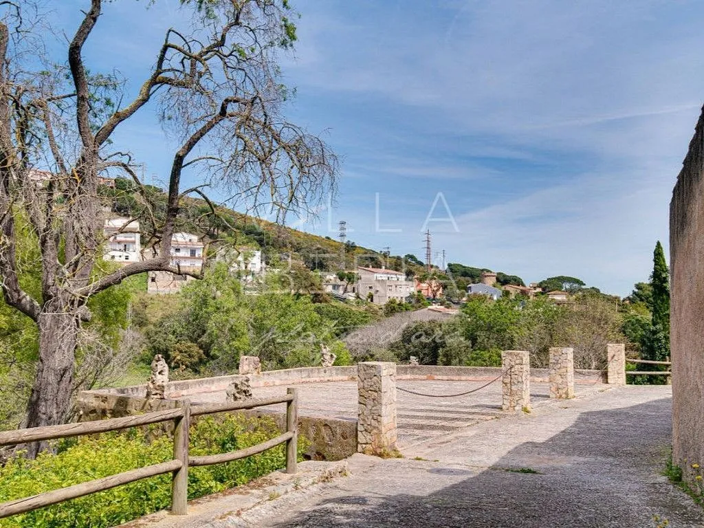 Jardin - Historic Chalet with A/C in Plaza Santa Maria