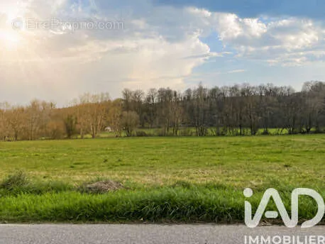 Garden - Constructible Plot in Lasseube
