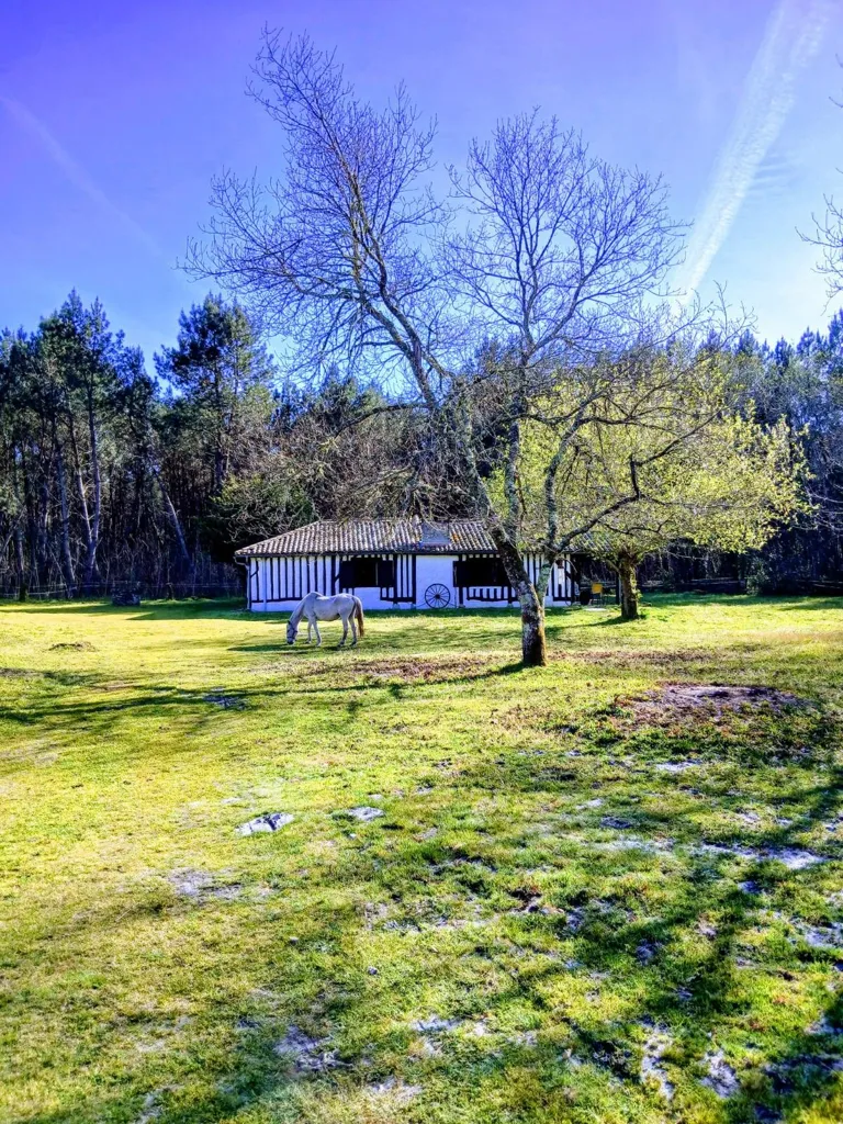 Giardino - Landaise House with Gîte in Calen