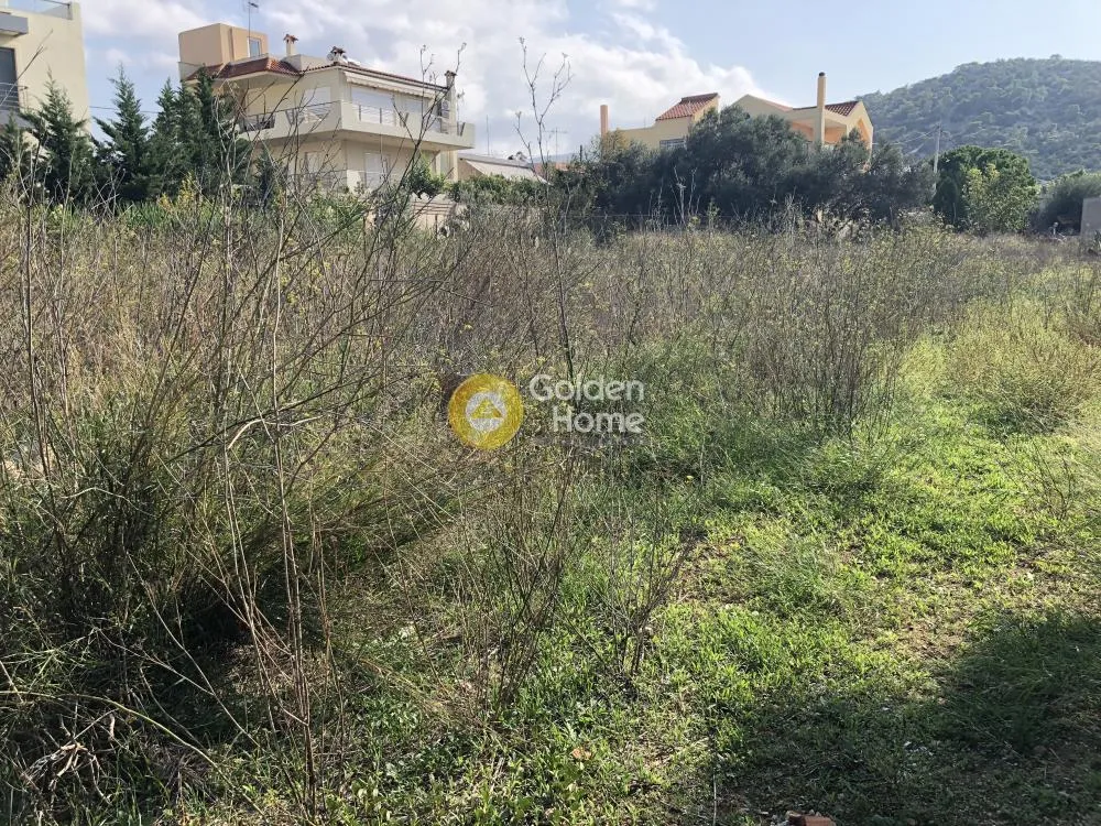 Aed - Plot with Forest View in Kalivia - Lagonisai