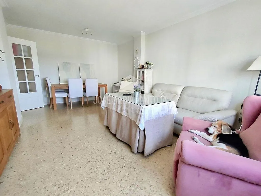 Séjour - Spacious Apartment with Terrace in Jerez