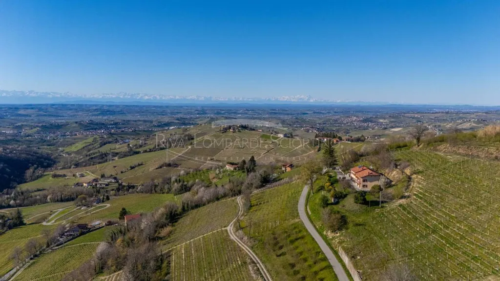 Aed - Casale with Vigneto in Mango, Langhe