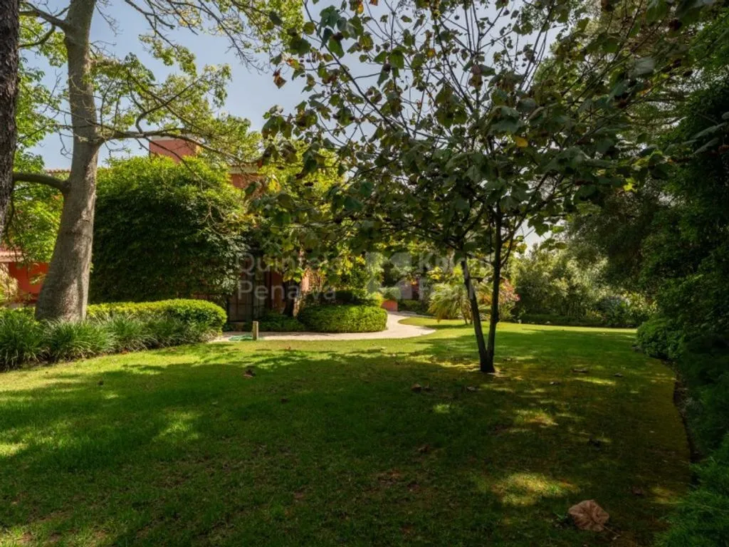 Jardin - Mediterranean Villa with Garden in Birre, Cascais