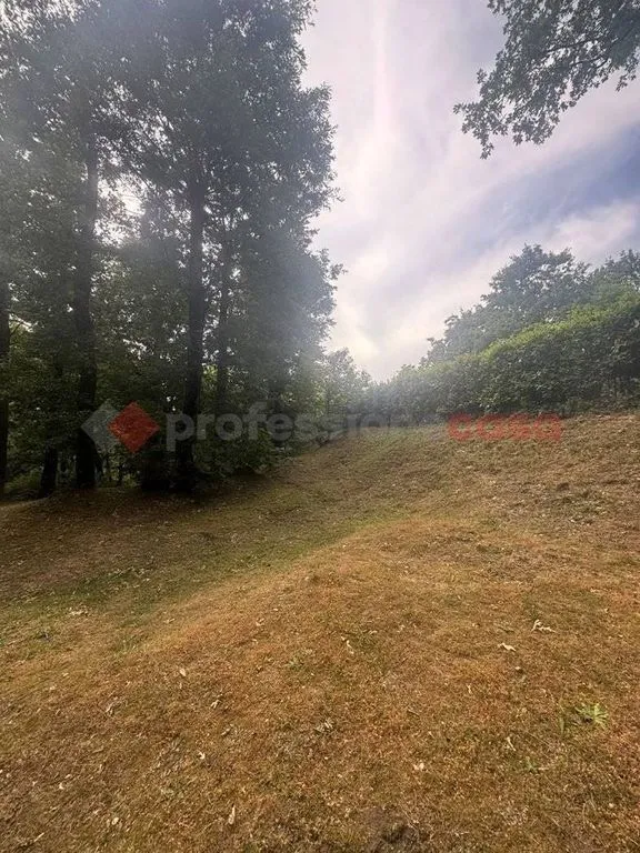 Jardin - Luxury Villa with Panoramic View in Pistoia