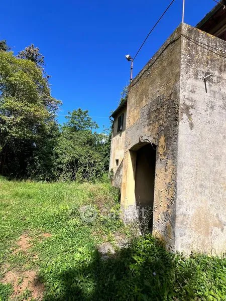 Jardin - Rustic Farmhouse with Vineyard in Casciana Terme