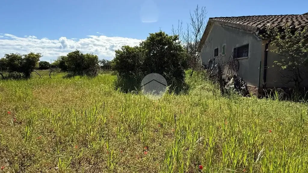 Jardin - Rustic House with Large Garden in Corigliano-Rossano