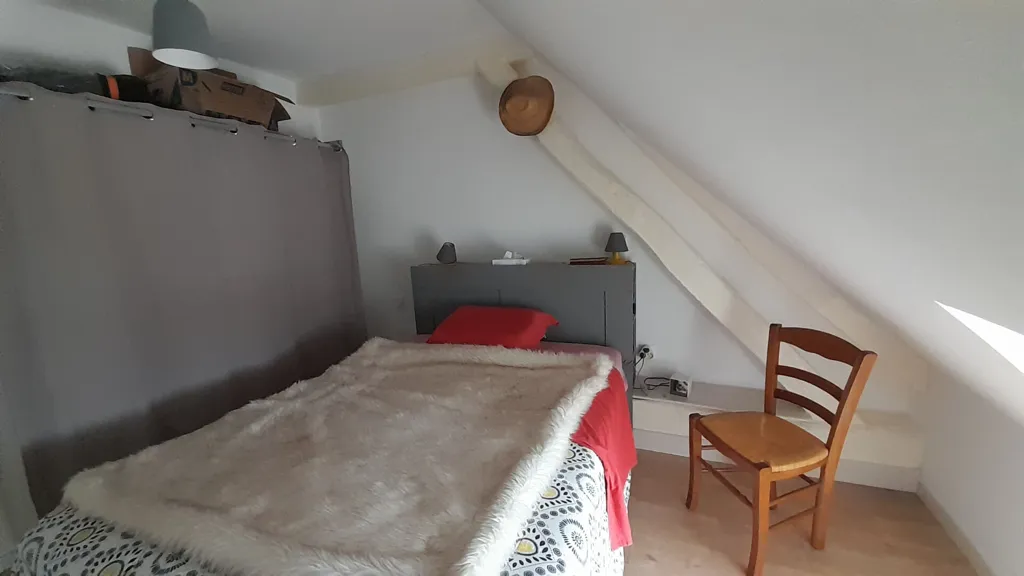 Magamistoad - 3-Bedroom Semi-Detached House in Lamotte-Beuvron