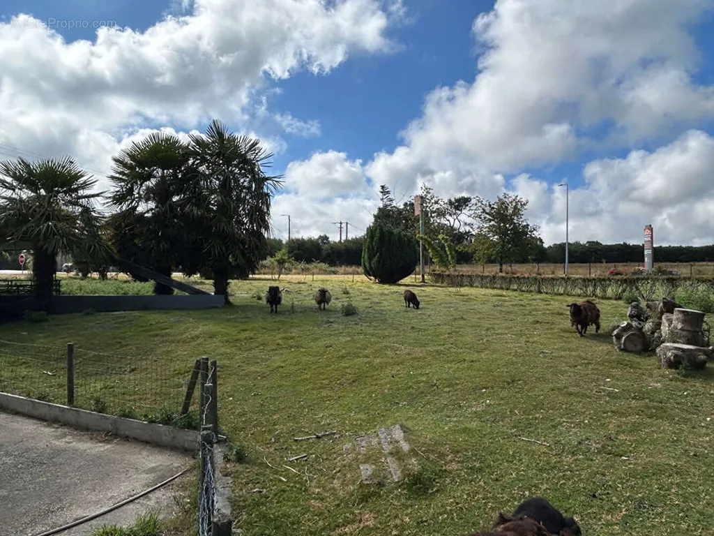 Garden - Commercial Property with Restaurant in Leuhan