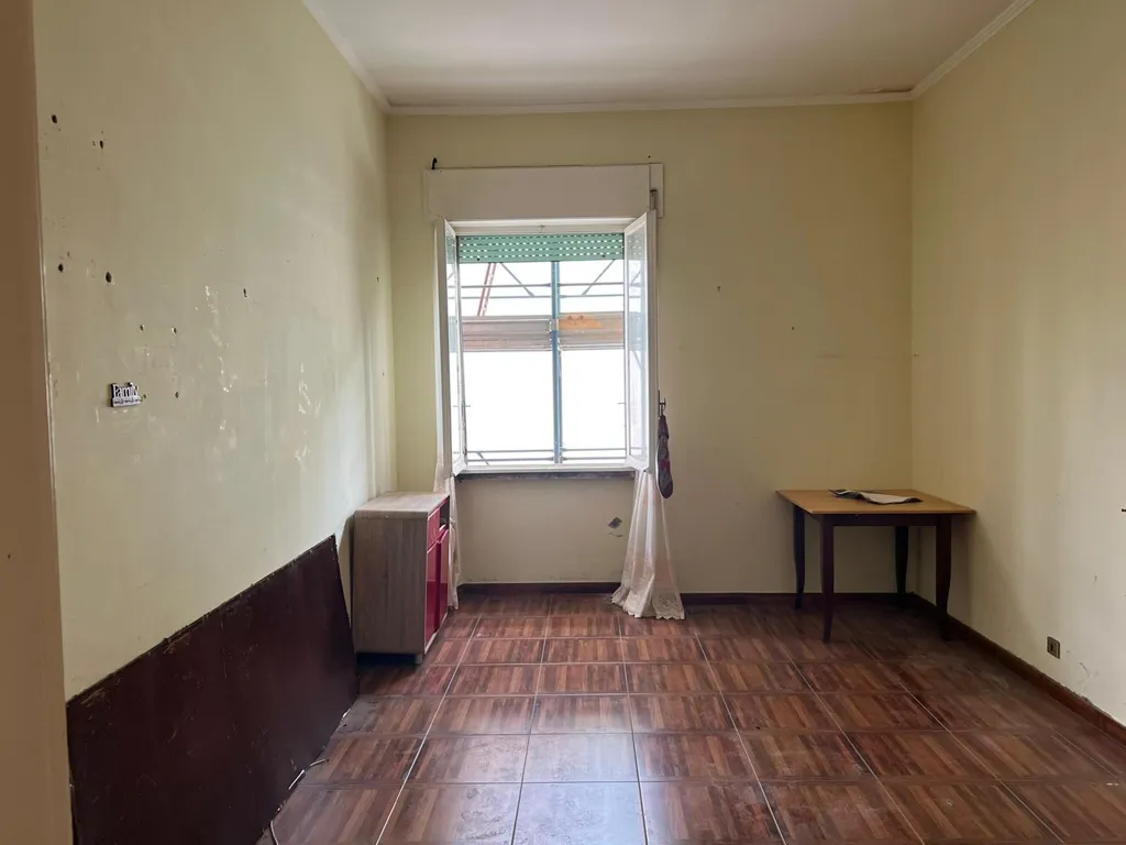 Toad - Apartment with Terrace in Nettuno Centre
