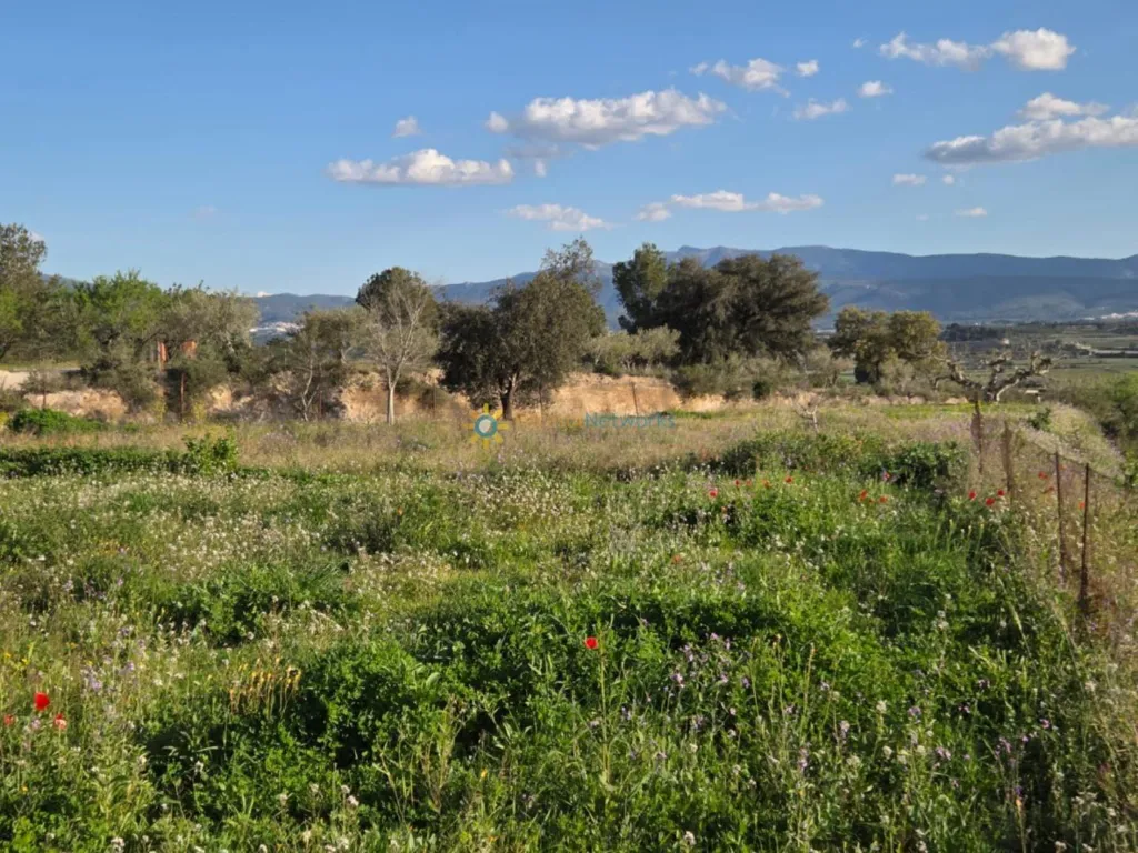 Aed - Plot with Two Buildings near L'Olleria