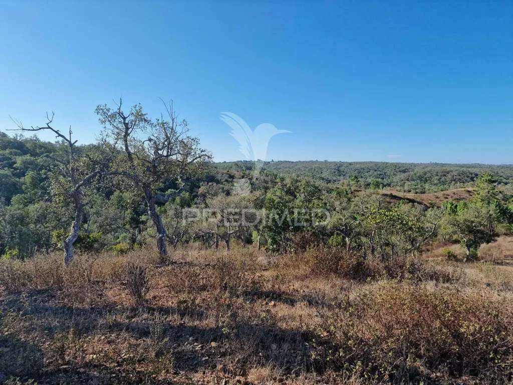 Jardin - Ruin with Construction Potential in São Francisco da Serra