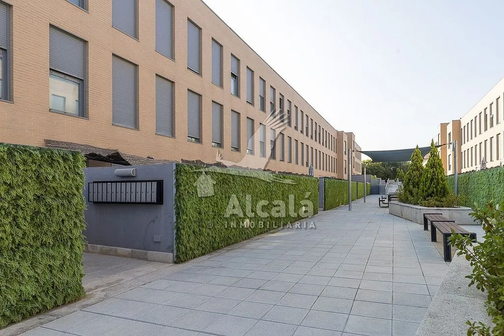 Jardin - 1-Bed Flat with Pool in Los Hueros