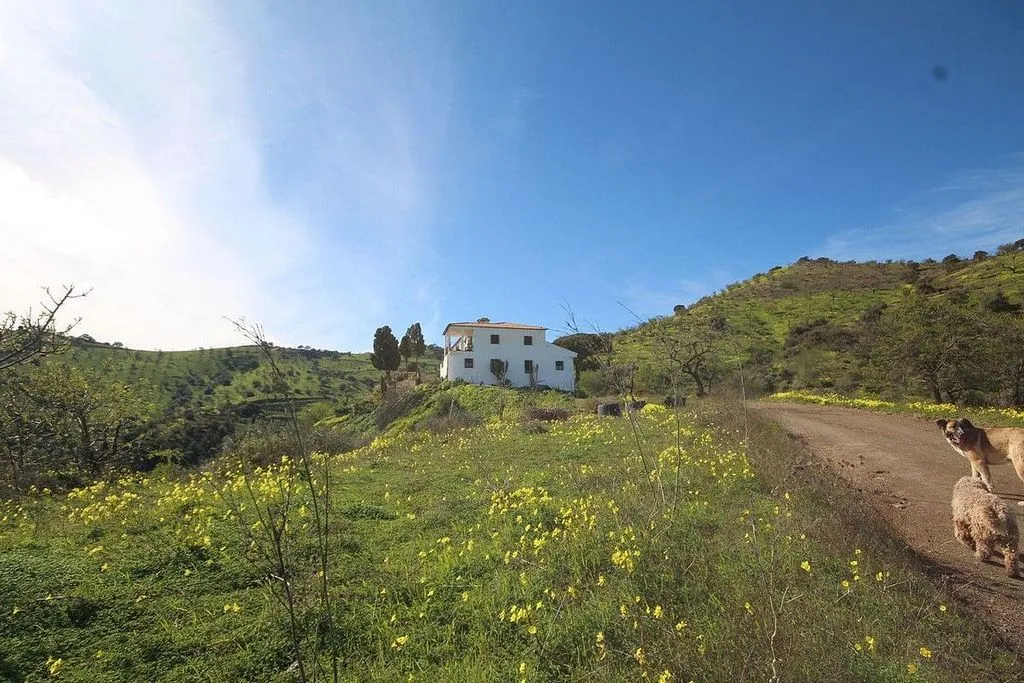 Esterno - Rustic Finca with Pool in Mijas Pueblo