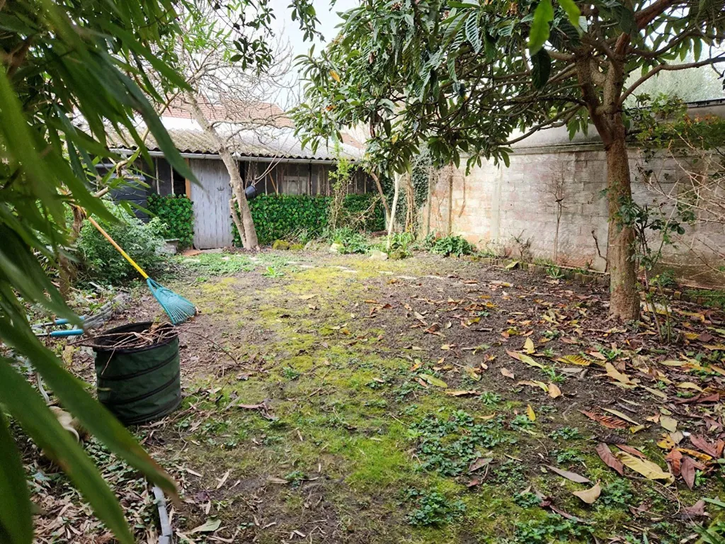 garden