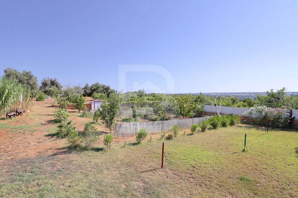 Giardino - Rustic House with Pool in Pêra, Algarve
