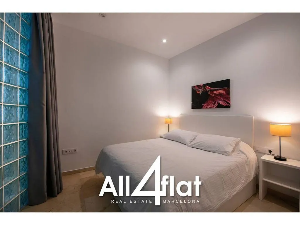 Magamistoad - Studio with South Orientation in Sant Pere, Barcelona